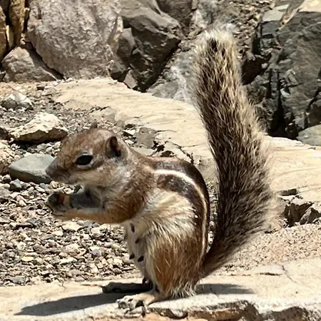 Apartment Torres Del Castillo, 208marina *